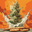 Cookie Mix (15 Fem Seeds)