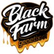buy black farm genetics seeds