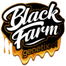 buy black farm genetics seeds