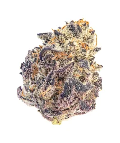 growers choice cherry mac muffin feminized seeds