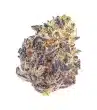 cherry-mac-muffin-by-growers-choice-feminized-seeds-2