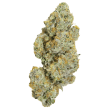 cherry 7up auto seeds growers choice