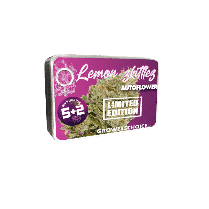 limited edition lemon zkittlez auto by growers choice limited edition lemon zkittlez auto by growers choice
