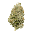 limited-edition-lemon-zkittlez-autoflower-cannabis-seeds-growers-choice