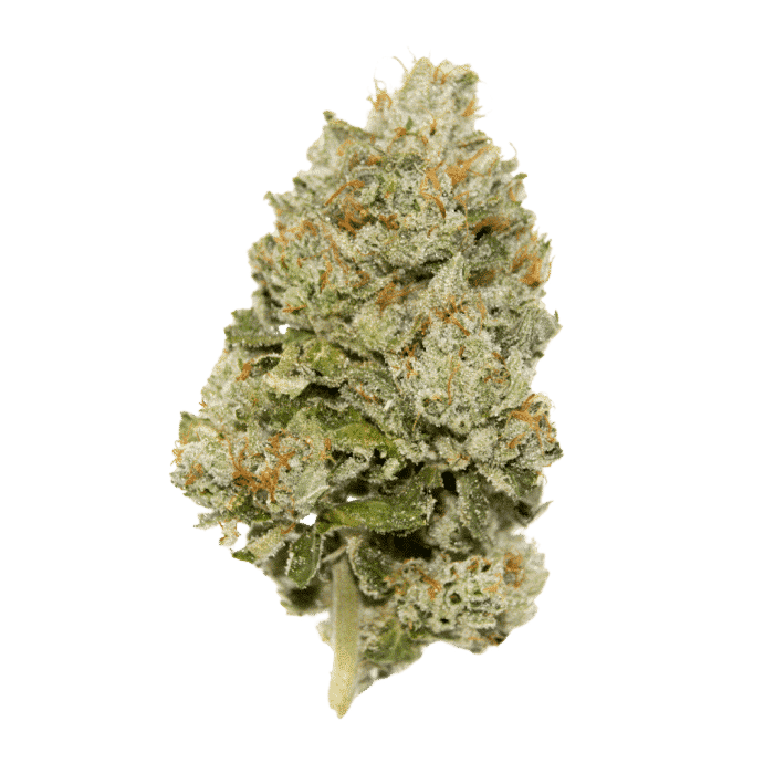 limited-edition-lemon-zkittlez-autoflower-cannabis-seeds-growers-choice limited edition lemon zkittlez auto by growers choice