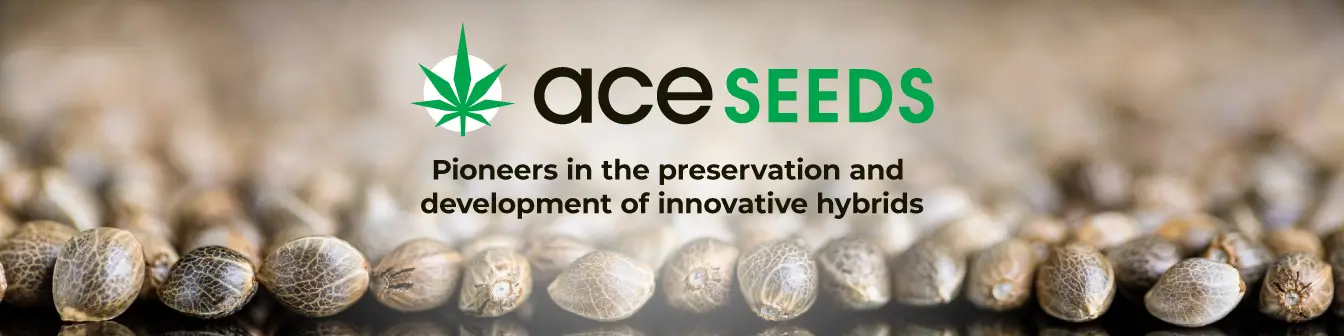 ace seeds cannabis seed bank