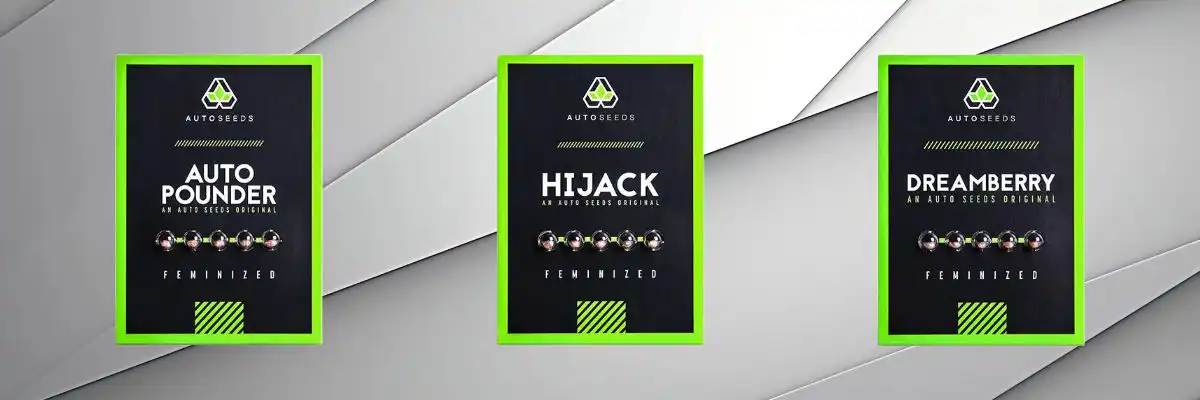 buy autoseeds autoflowering cannabis seeds