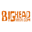 big head seeds cannabis breeder logo