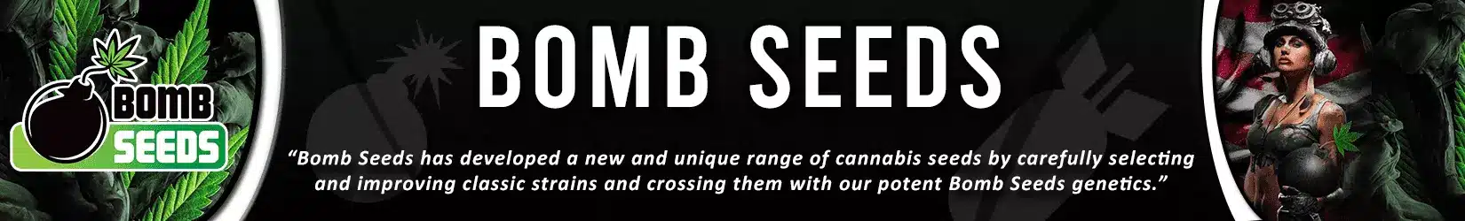 bomb seeds cannabis seeds worldwide delivery