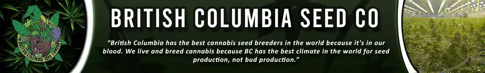 british columbia seed company cannabis seed bank