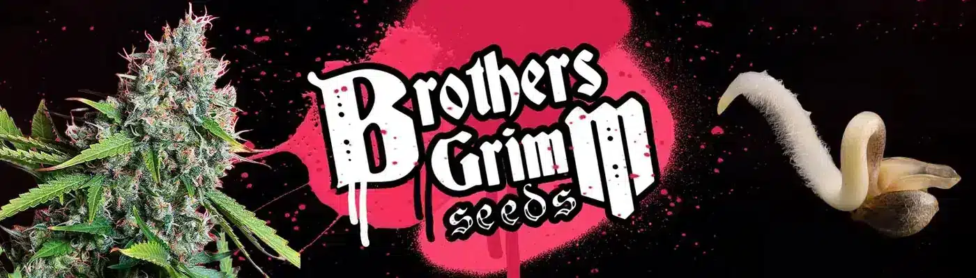 brothers grimm cannabis seeds