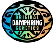 original dampkring classics amsterdam seedbank cannabis seeds