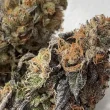 diamond-runtz-feminized-always-be-flowering-seed-bank