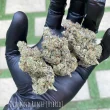 diamond-runtz-feminized-always-be-flowering-seed-bank