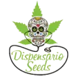 dispensario seeds cannabis seed bank