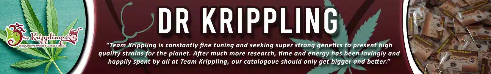 dr krippling cannabis seeds bank