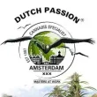 dutch passion seed company cannabis seed bank