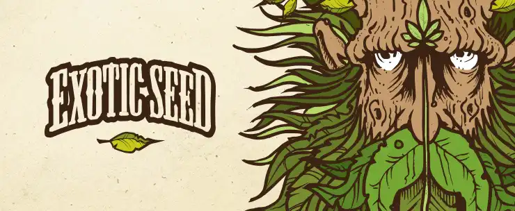 exotic seeds cannabis seeds bank