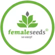 female seeds seedbank cannabis seeds