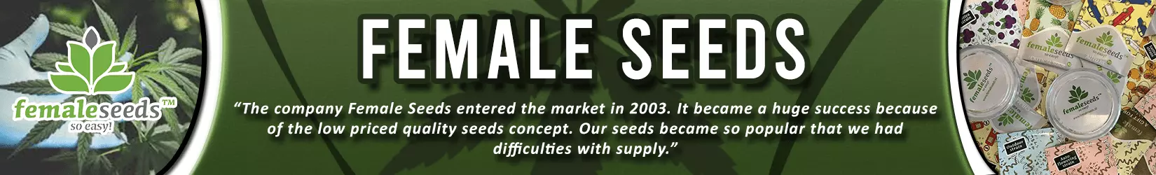 female seeds seed bank cannabis seeds