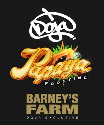 papaya frosting feminized doja x barneys farm seeds
