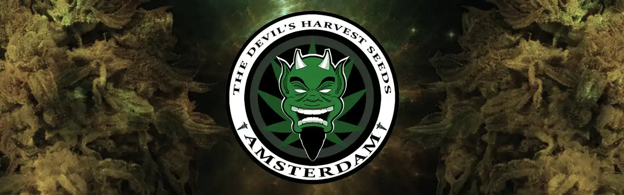 the devils harvest seedbank cannabis seeds