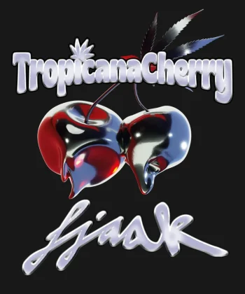 tropicana cherry feminized cannabis seeds by barneys farm