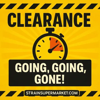 clearance cannabis seeds discount