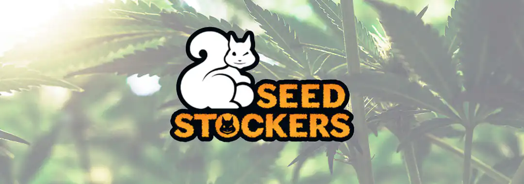 seedstockers seed bank cannabis seeds online