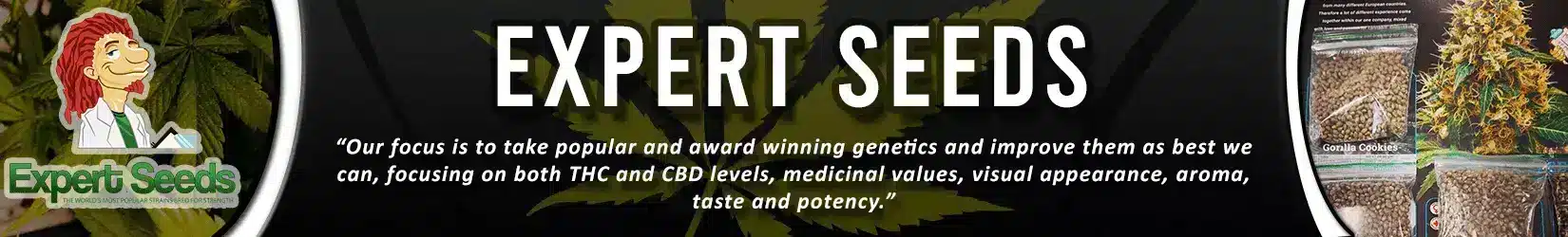 expert seeds cannabis seed bank