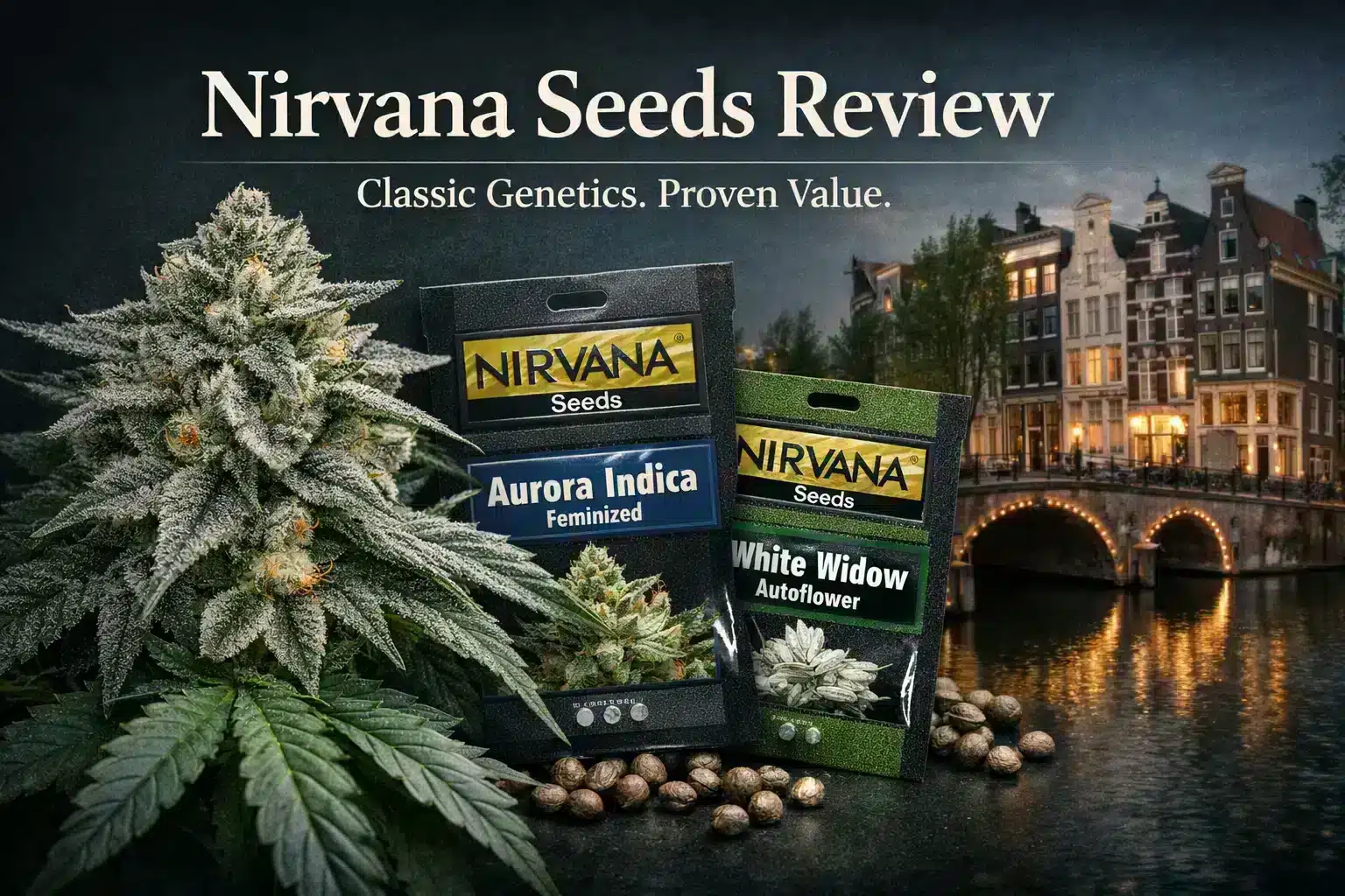 Nirvana Seeds review image featuring Aurora Indica and White Widow cannabis seed packs with Amsterdam background