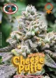 Big Buddha Seeds – Cheese Puffs