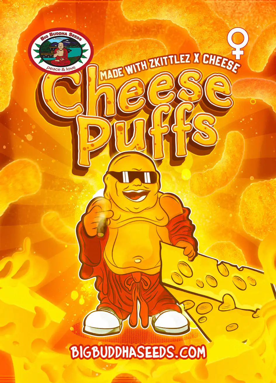Big Buddha Seeds - Cheese Puffs big buddha cheese puffs seeds
