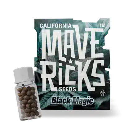Black-magic-auto-by-mavericks-seed-bank black magic auto by maverick seeds