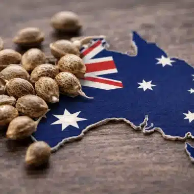 Cannabis Seeds USA: Laws, Buying Guide & Delivery Explained
