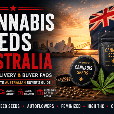 Cannabis Seeds New Zealand | Buying Guide, Delivery & Weed Seeds