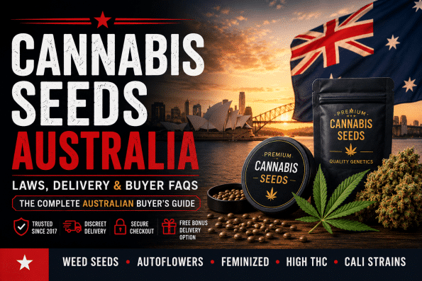 Cannabis Seeds Australia guide covering laws, delivery options and Australian seed bank comparisons