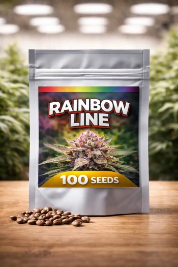 Rainbow Line 100 bulk feminized cannabis seeds commercial pack by StrainSupermarket