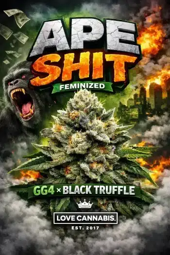 Ape Shit Cannabis strain with aggressive branding.