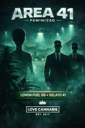 Area 41 strain image - Mysterious figures with UFOs in background