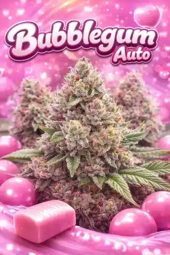 bu