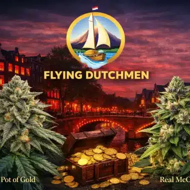 Nirvana Seeds Review: History, Best Strains & Worldwide Delivery