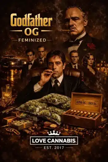 Godfather OG feminized cannabis seeds by Love Cannabis – high THC Alpha OG x XXX OG indica hybrid