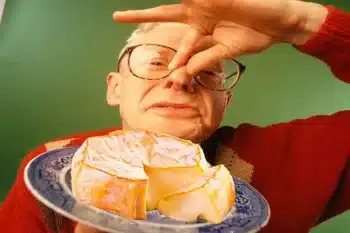Cheese strain aroma comparison showing cannabis buds next to aged cheese illustrating pungent smell
