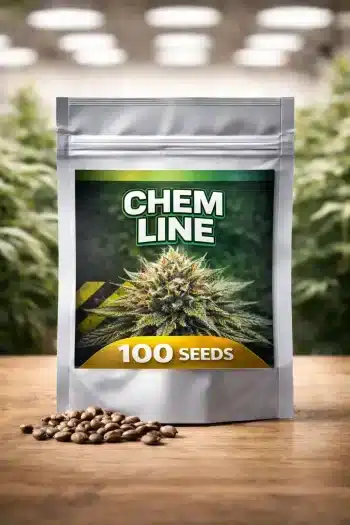 Chem Line 100 bulk feminized cannabis seeds commercial pack by StrainSupermarket