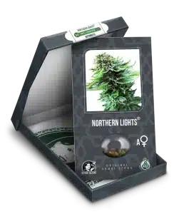Northern Lights seeds feminized autoflower cannabis seeds