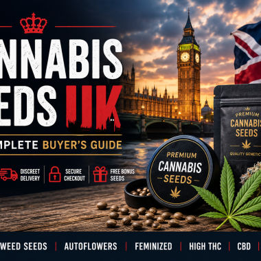 Cannabis Seeds in the UK: The Complete Buyer’s Guide