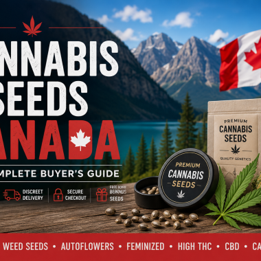 Cannabis Seeds in Canada: The Complete Buyer’s Guide