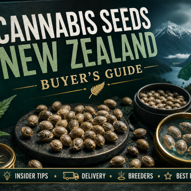 Cannabis Seeds New Zealand | Buying Guide, Delivery & Weed Seeds