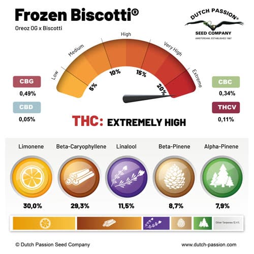 2-Frozen-biscotti-terpenes-